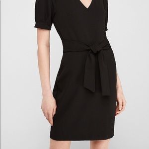 Express Puff Sleeve Tie Waist Sheath Dress